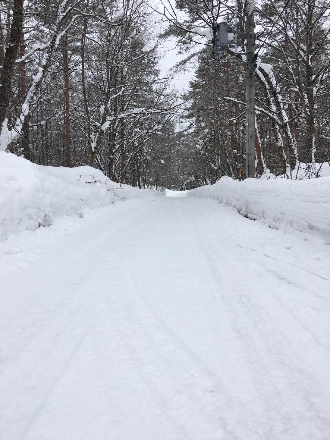 Haus Yuki Villa Hakuba Bagian luar foto